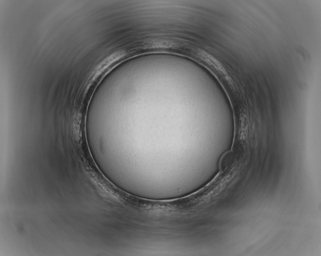 X0000115280786200911131828