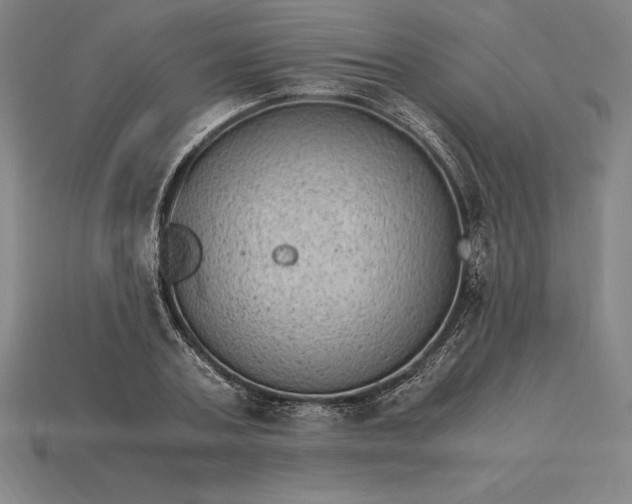 X0000115280787200911131828