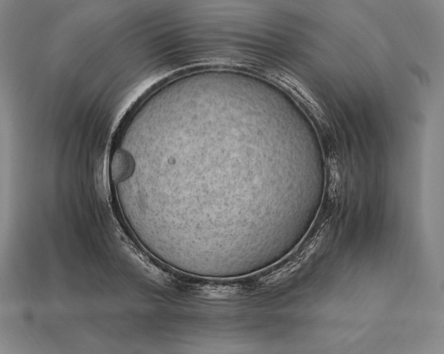 X0000115280788200911131828