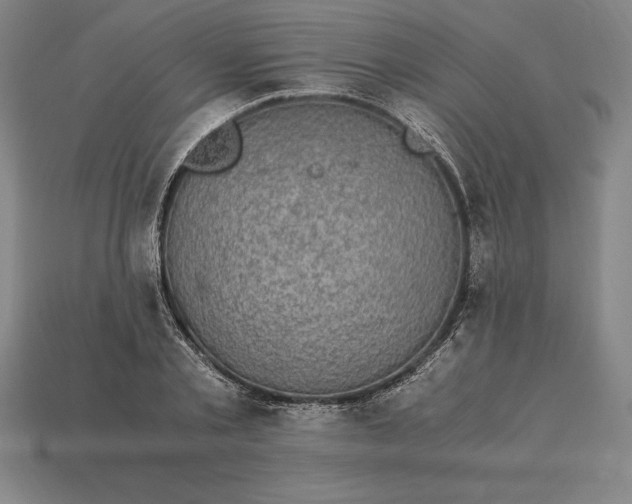 X0000115280789200911131828