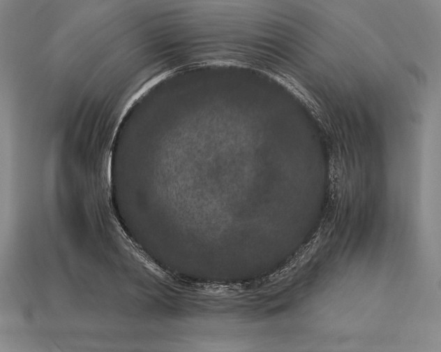 X0000115280790200911131828