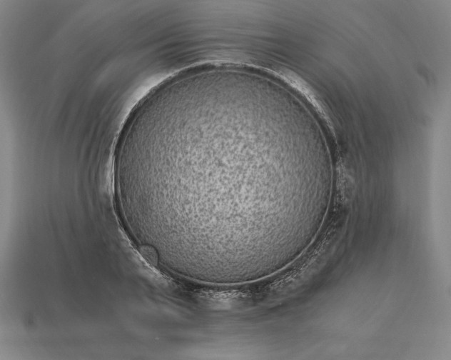 X0000115280791200911131828