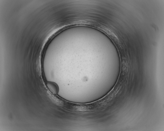 X0000115280792200911131828