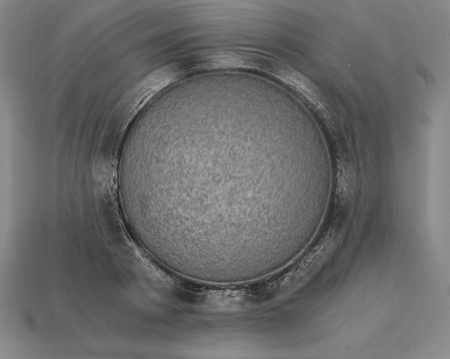 X0000115280793200911131828