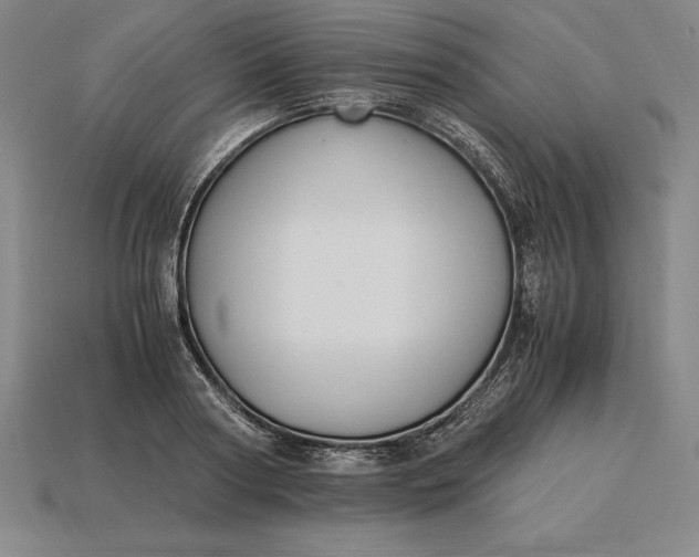 X0000115280794200911131828