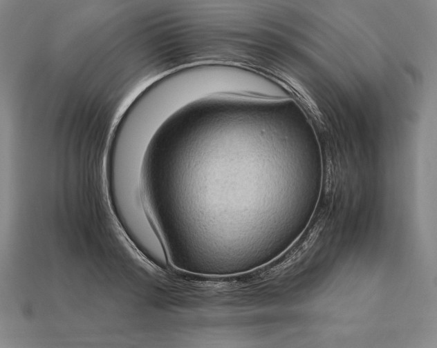 X0000115280796200911131828