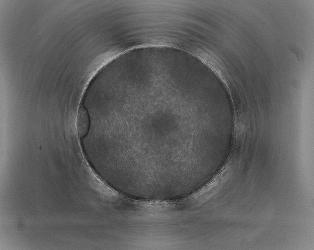 X0000115280797200911131828