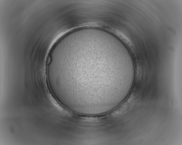 X0000115280800200911131828