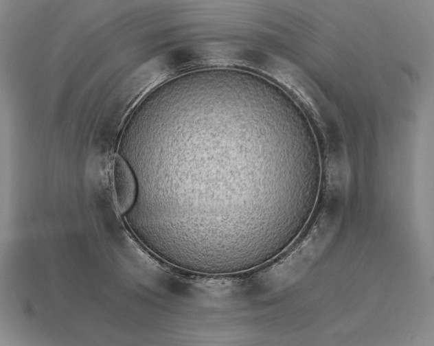 X0000115280801200911131828