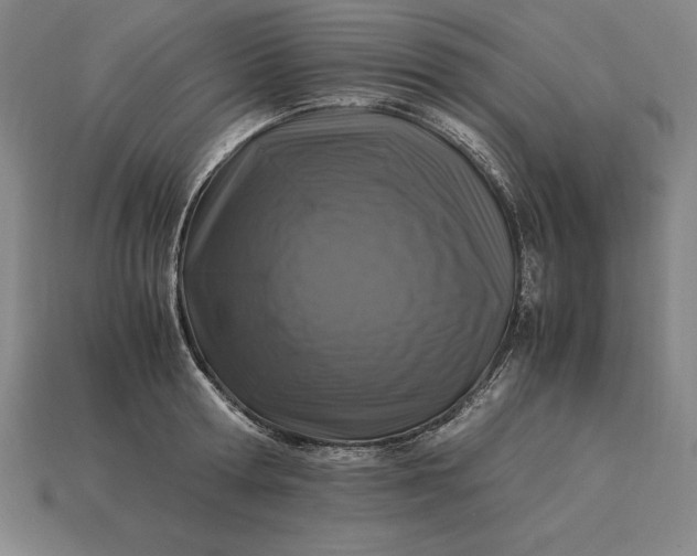 X0000115280802200911131828