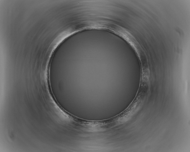 X0000115280803200911131828