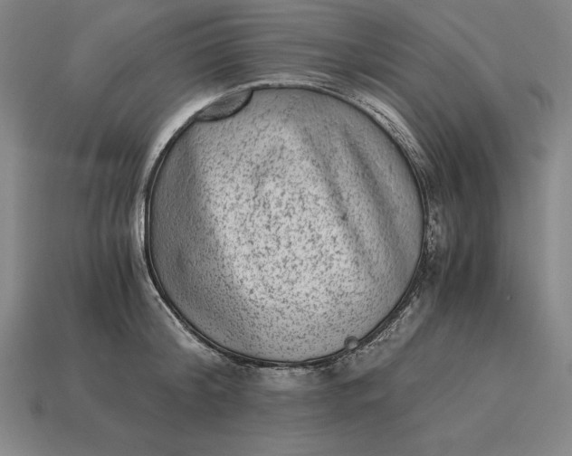 X0000115280804200911131828