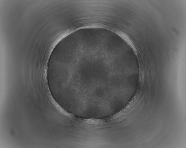 X0000115280805200911131827