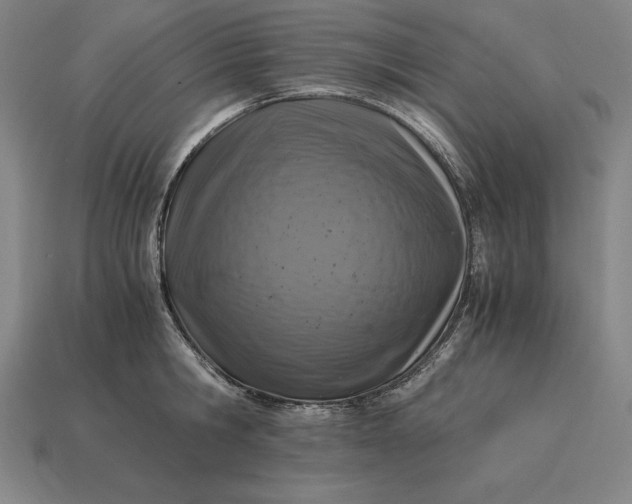 X0000115280806200911131827