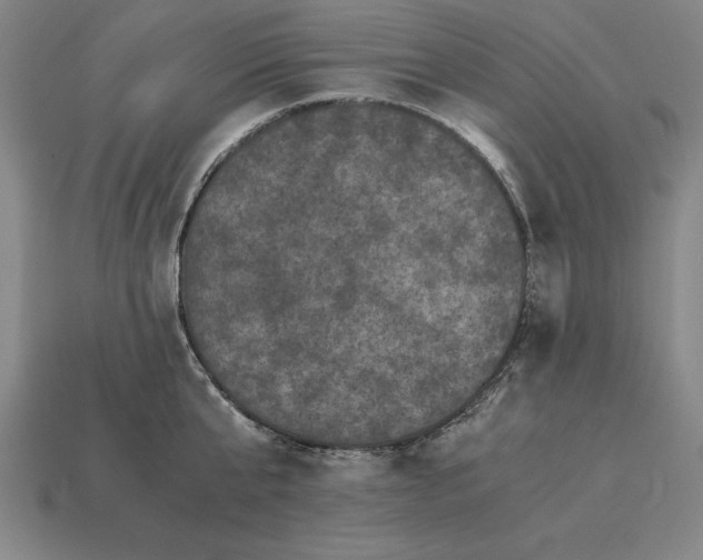 X0000115280807200911131827