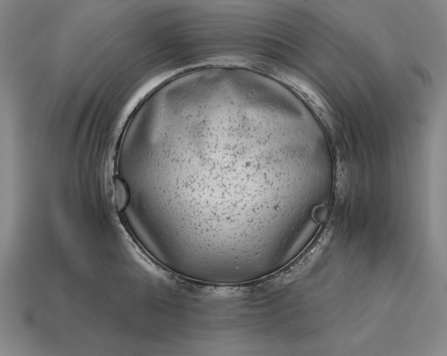 X0000115280808200911131827