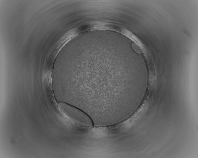 X0000115280809200911131827