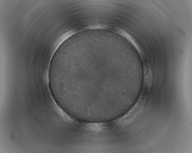 X0000115280810200911131827