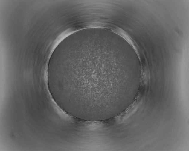 X0000115280811200911131827