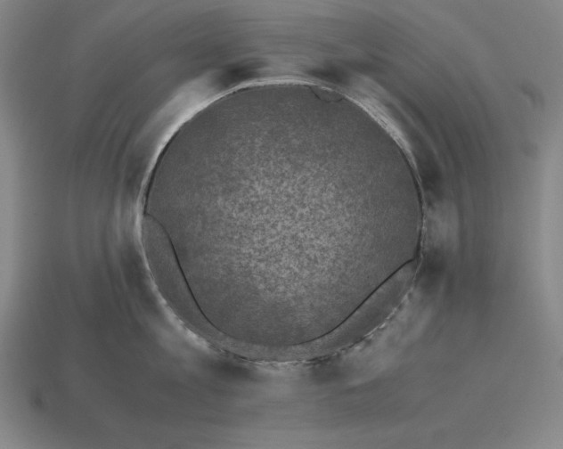 X0000115280813200911131827