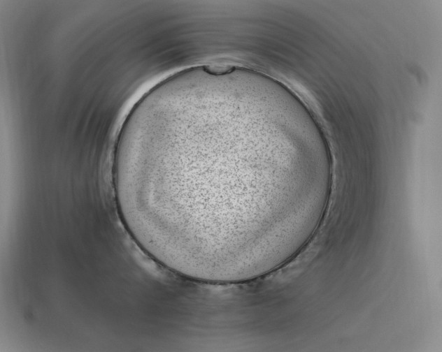 X0000115280816200911131827