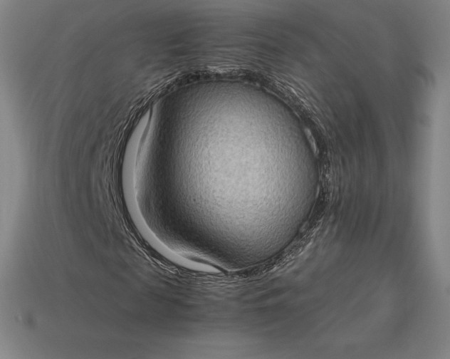 X0000115280817200911131827