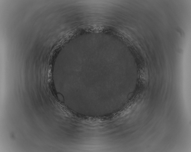 X0000115280818200911131827