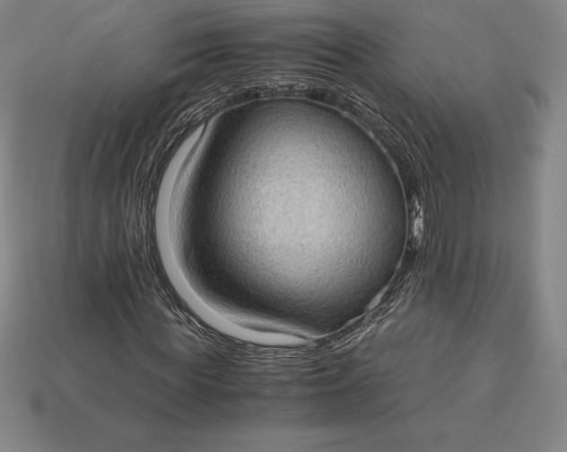 X0000115280819200911131827