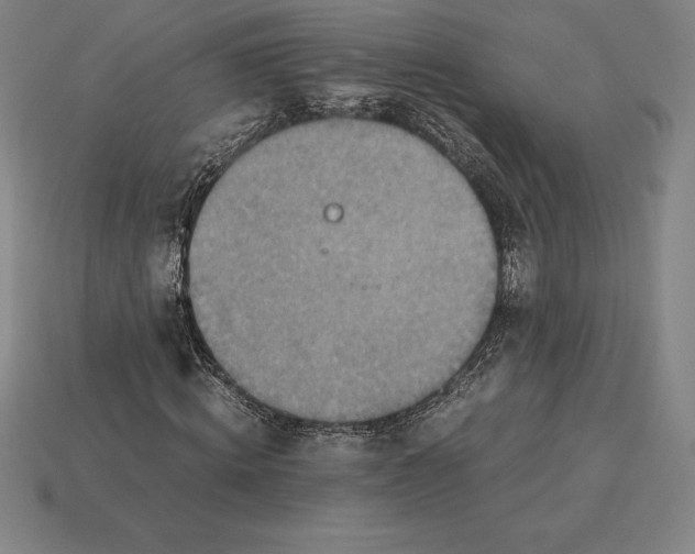 X0000115280820200911131827