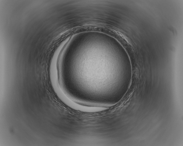 X0000115280821200911131827