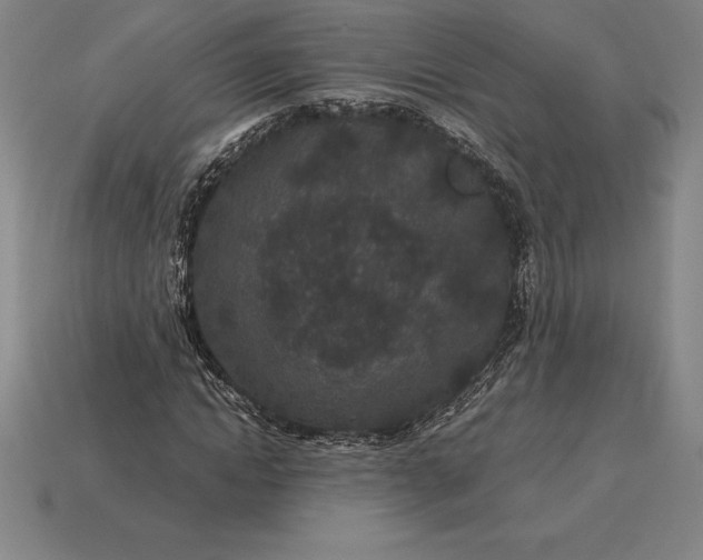 X0000115280822200911131827