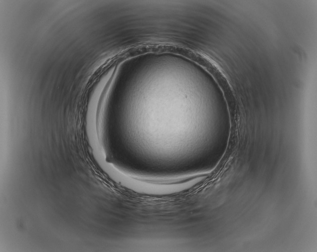 X0000115280823200911131827