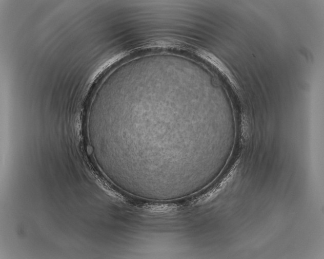 X0000115280826200911131827