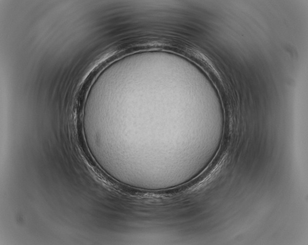 X0000115280827200911131827