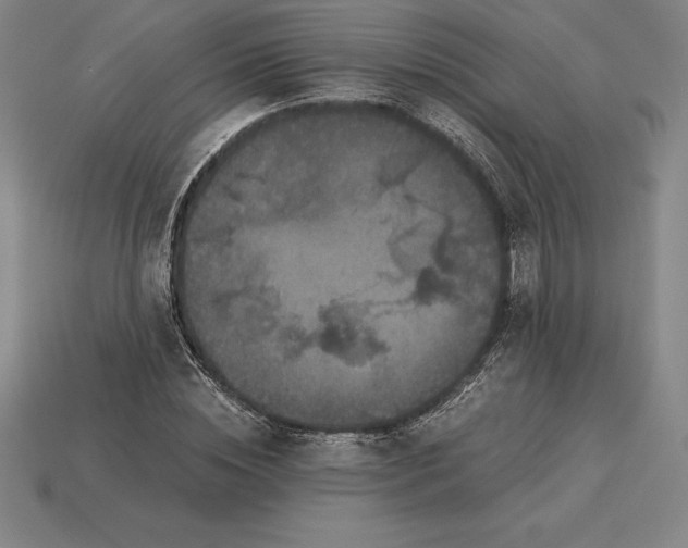 X0000115280828200911131827