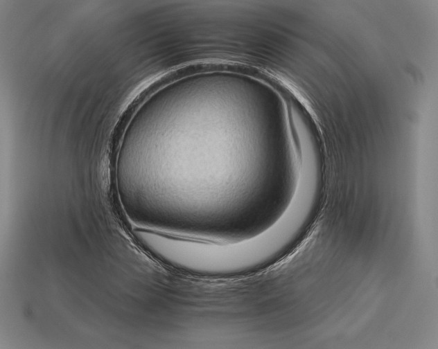 X0000115280829200911131827