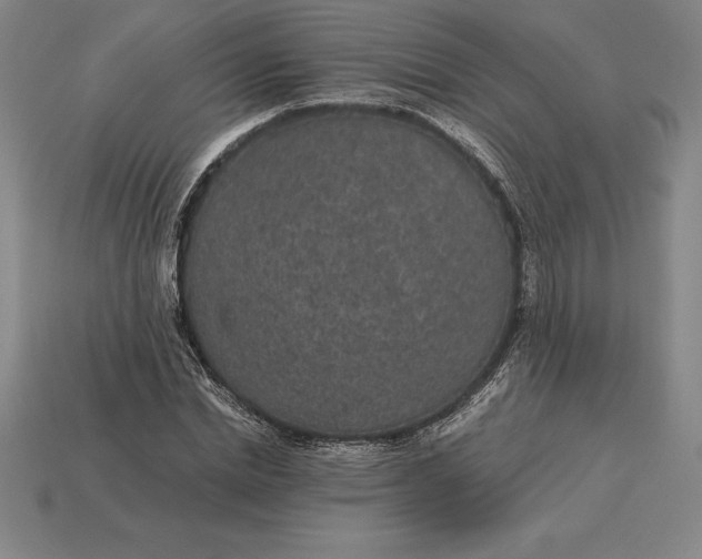 X0000115280830200911131827