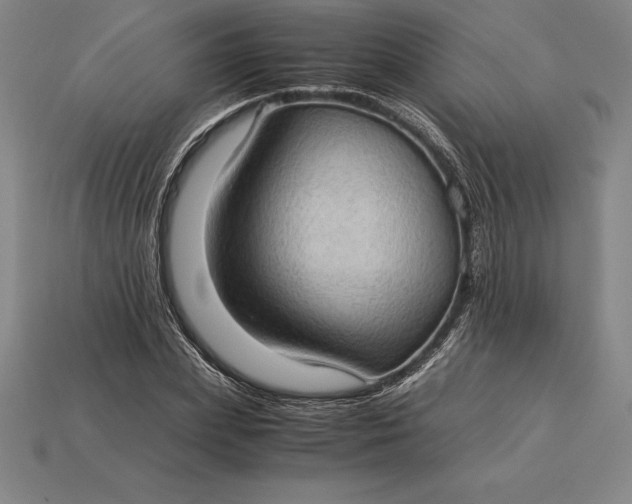 X0000115280831200911131827