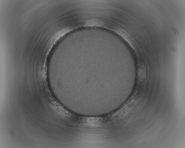 X0000115280832200911131827