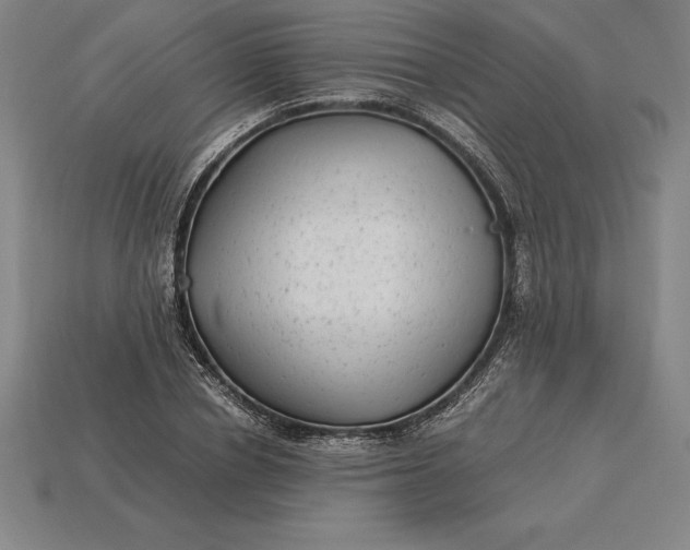 X0000115280834200911131827