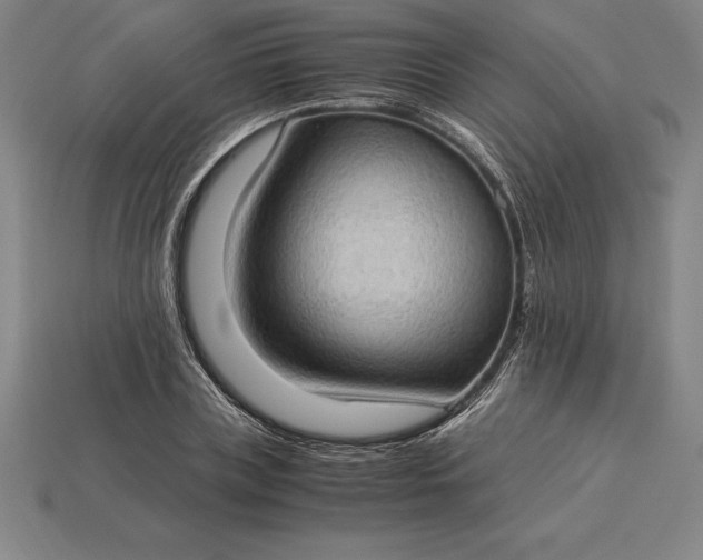 X0000115280835200911131827