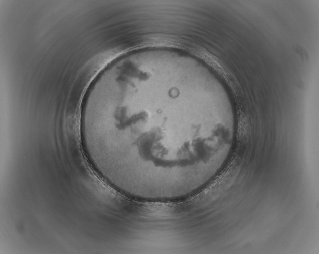 X0000115280836200911131827