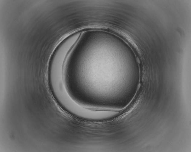 X0000115280837200911131827