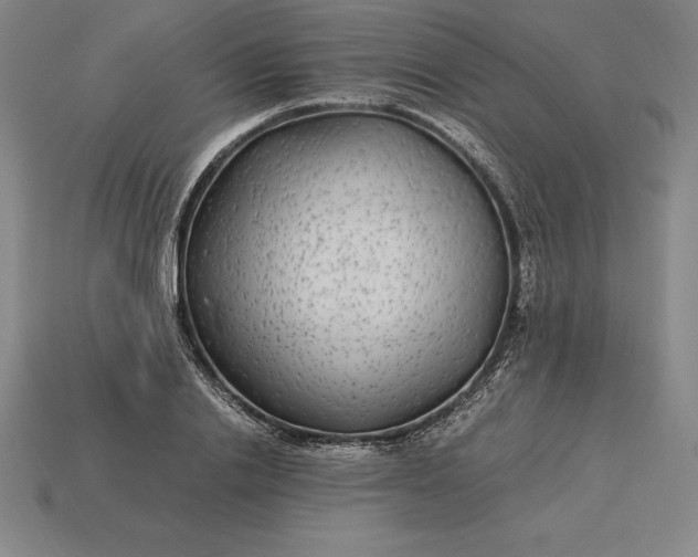 X0000115280838200911131827