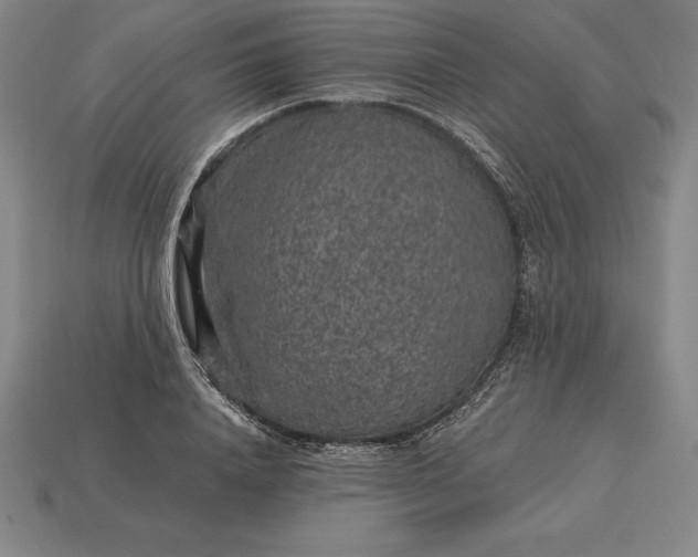 X0000115280840200911131827