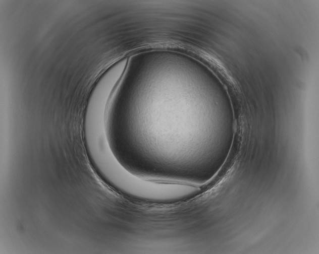 X0000115280841200911131827