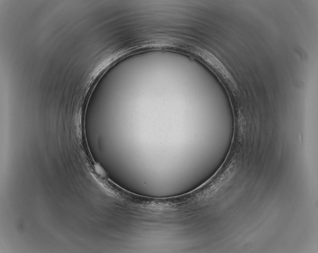 X0000115280842200911131827