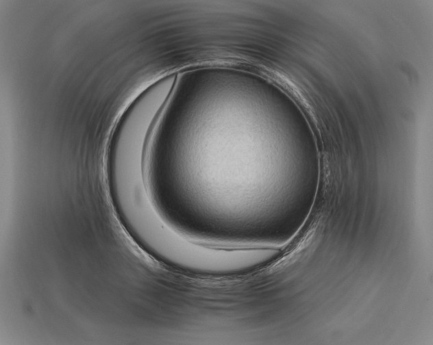 X0000115280843200911131827