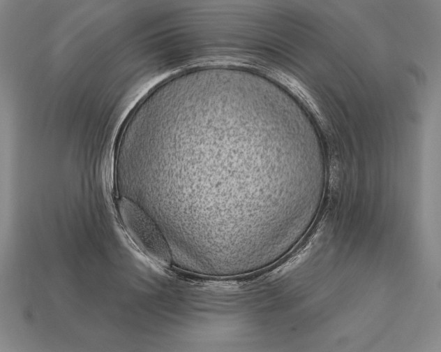 X0000115280844200911131827