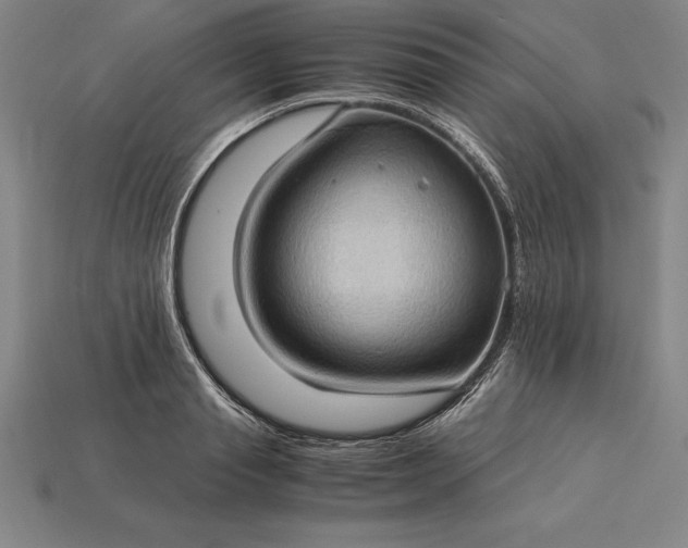 X0000115280845200911131827